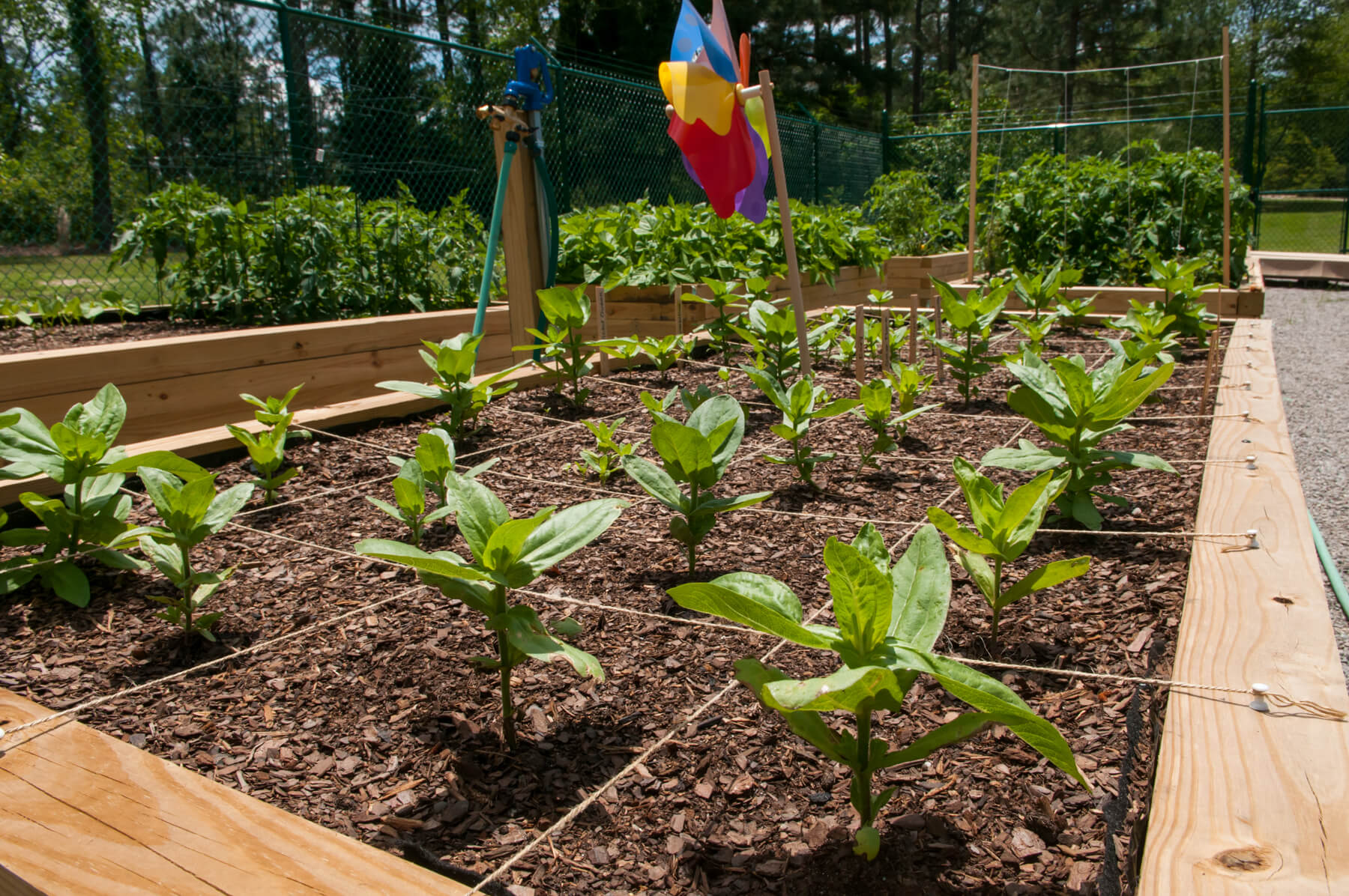 Services & Amenities